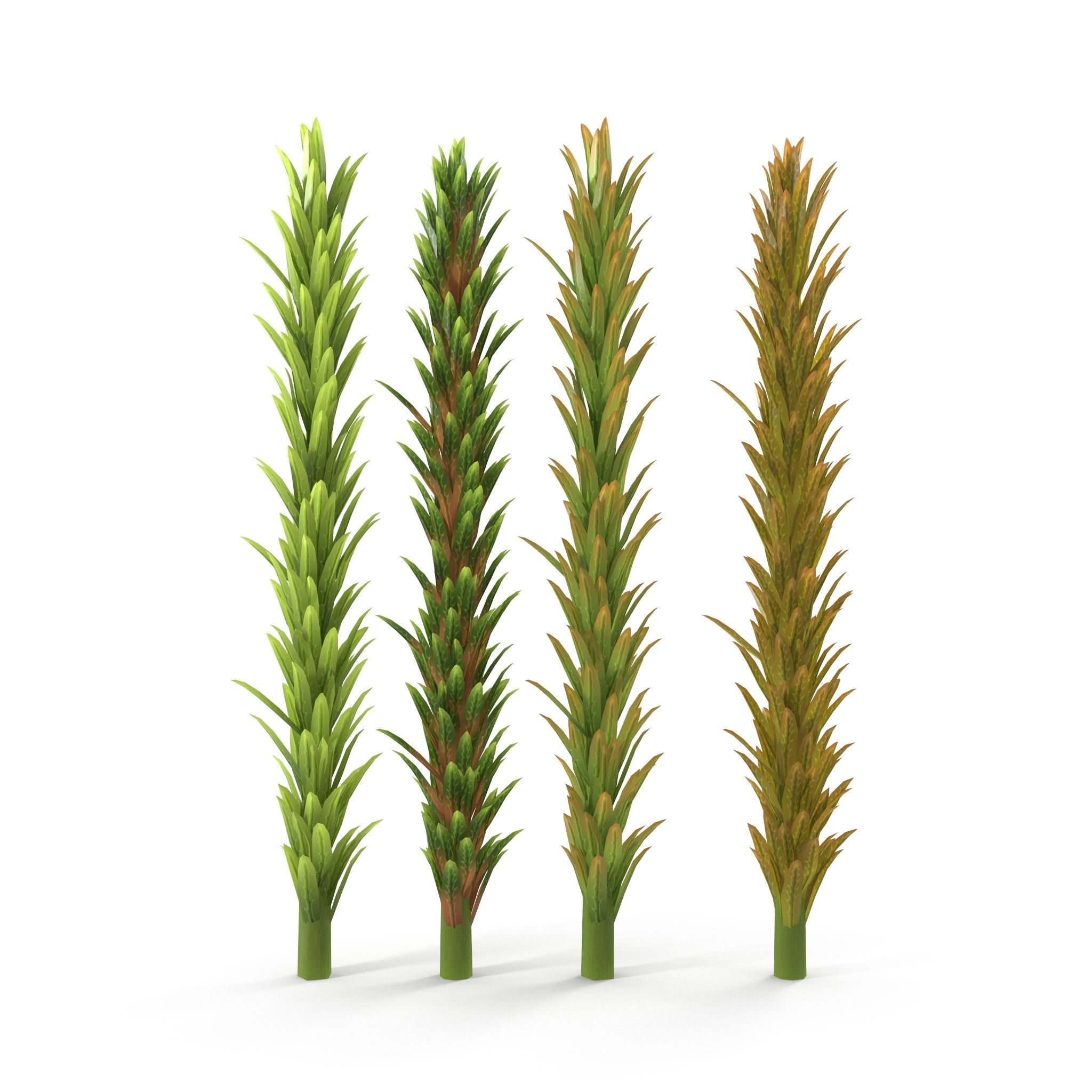 Sphagnum fallax BRANCH Low-poly 3D model_1