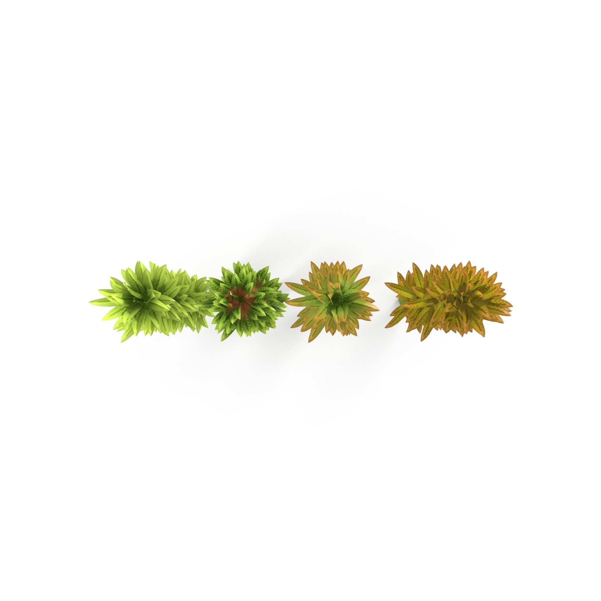 Sphagnum fallax BRANCH Low-poly 3D model_3