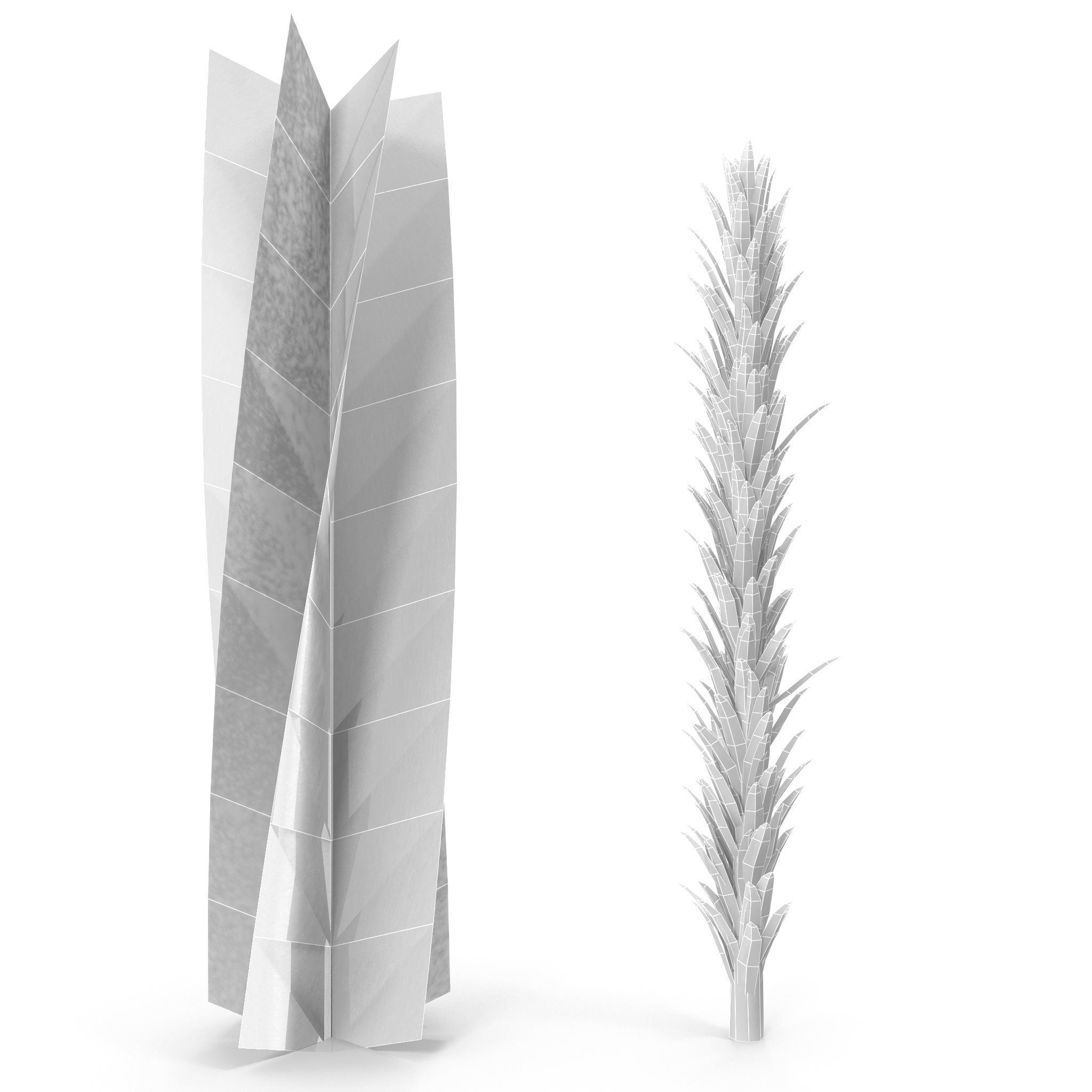 Sphagnum fallax BRANCH Low-poly 3D model_9