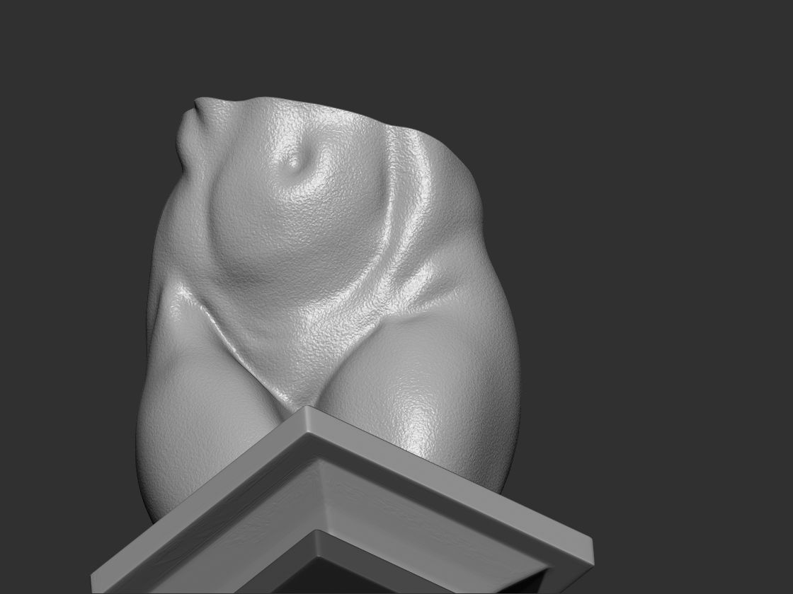 Female torso  3d print model 3D print model_1