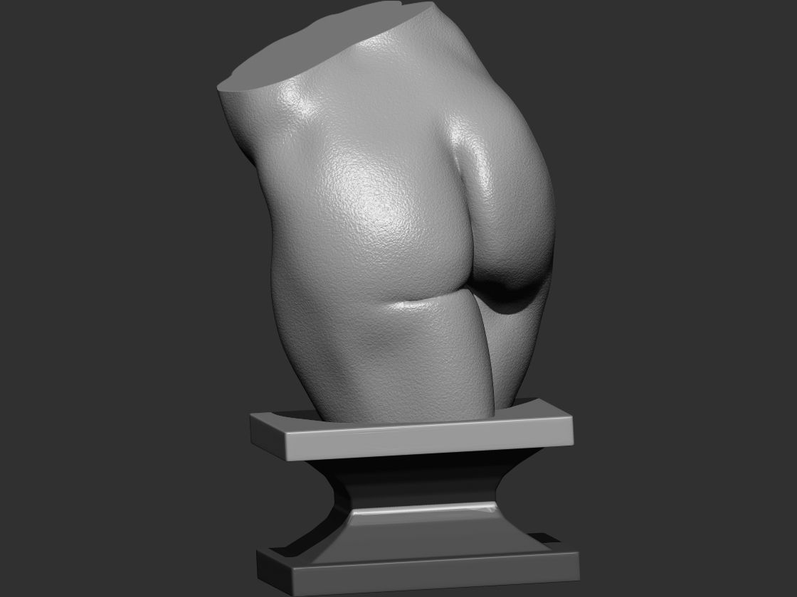 Female torso  3d print model 3D print model_4
