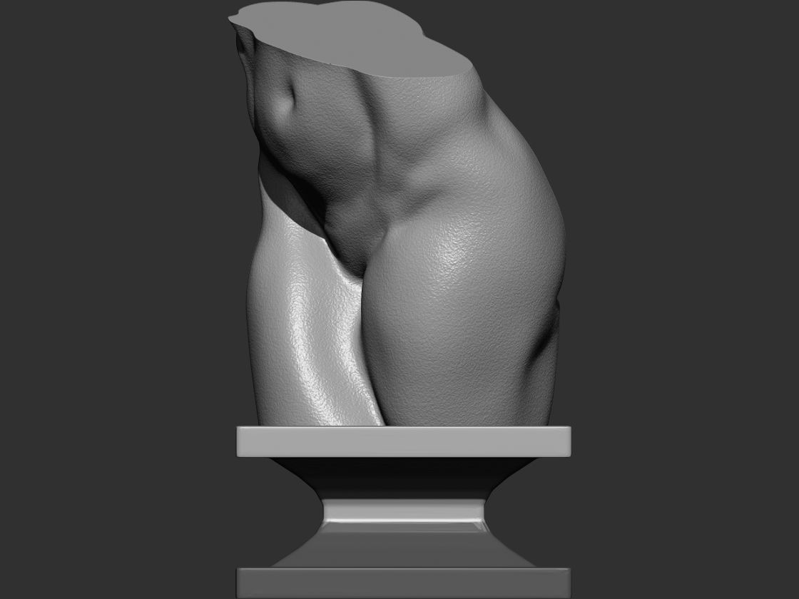 Female torso  3d print model 3D print model_3