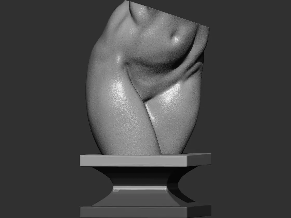 Female torso  3d print model 3D print model_0