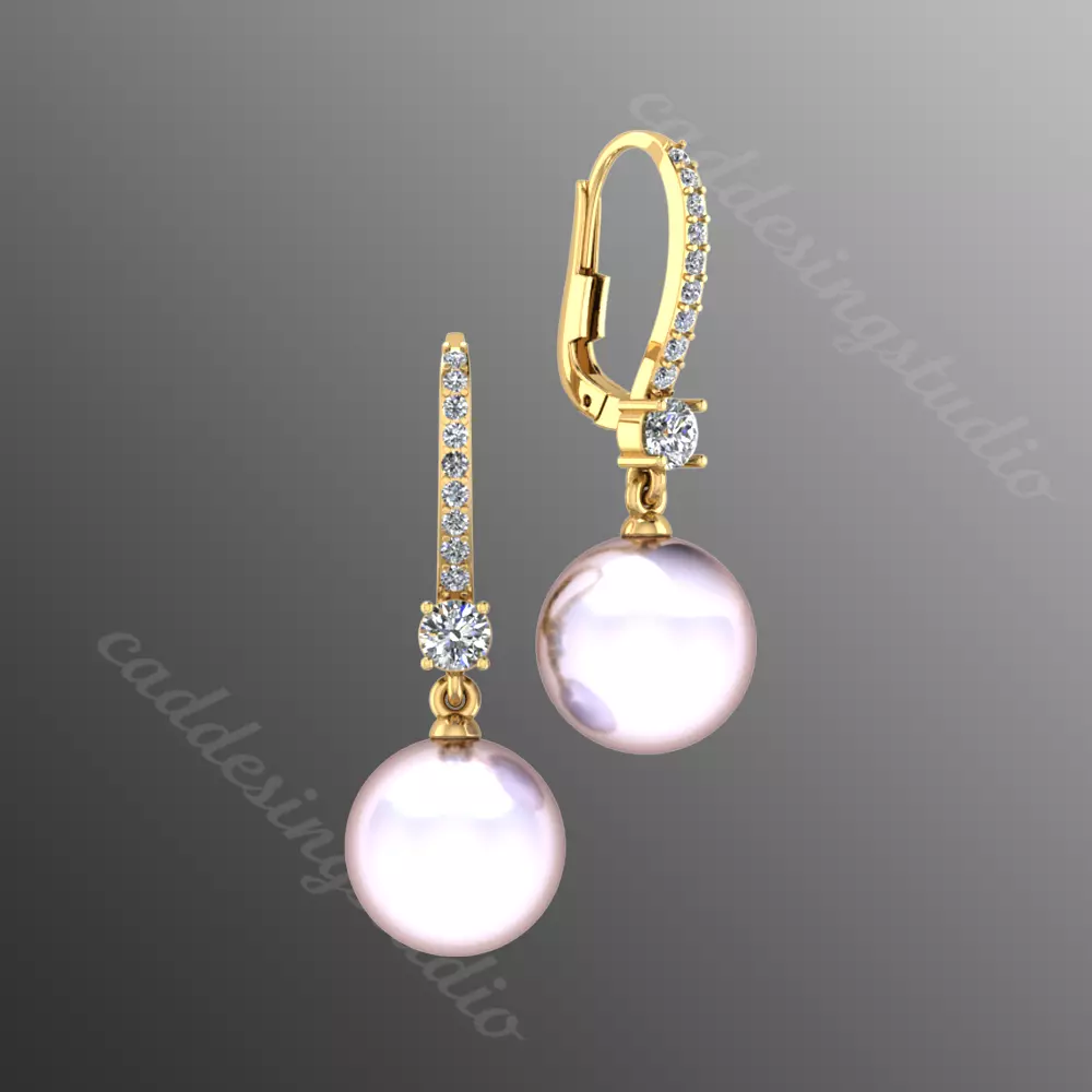 earrings pl 13 3D print model