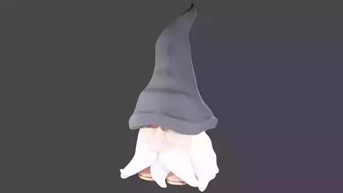 wizard gnome 3D model