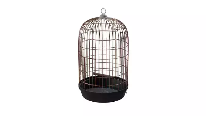 Birdcage bird cage