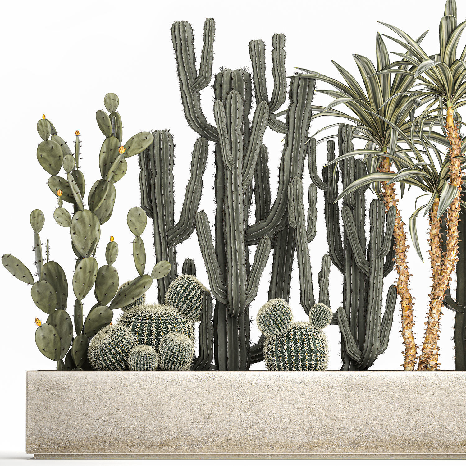 Cactus set in a concrete flowerpot for the interior 1096 3D model_3