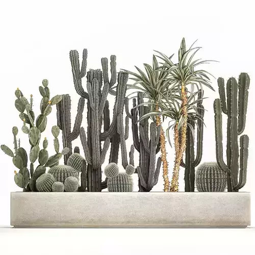 Cactus set in a concrete flowerpot for the interior 1096 3D model