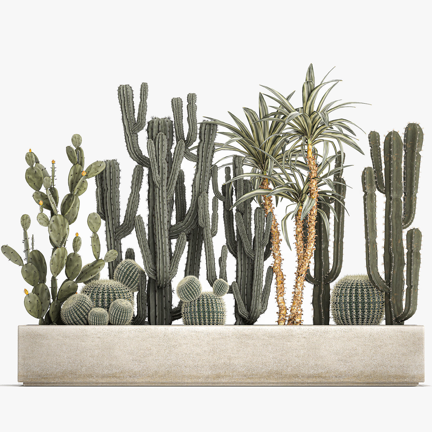 Cactus set in a concrete flowerpot for the interior 1096 3D model_7