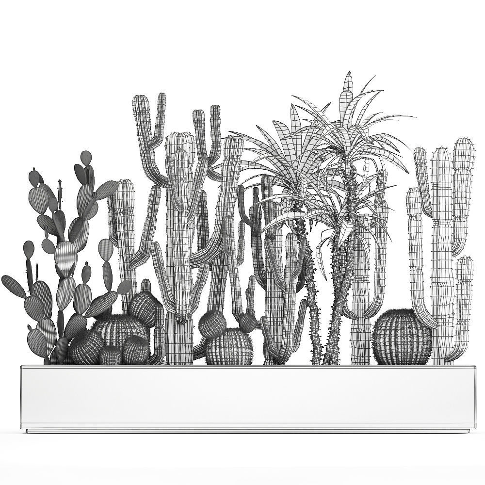 Cactus set in a concrete flowerpot for the interior 1096 3D model_8