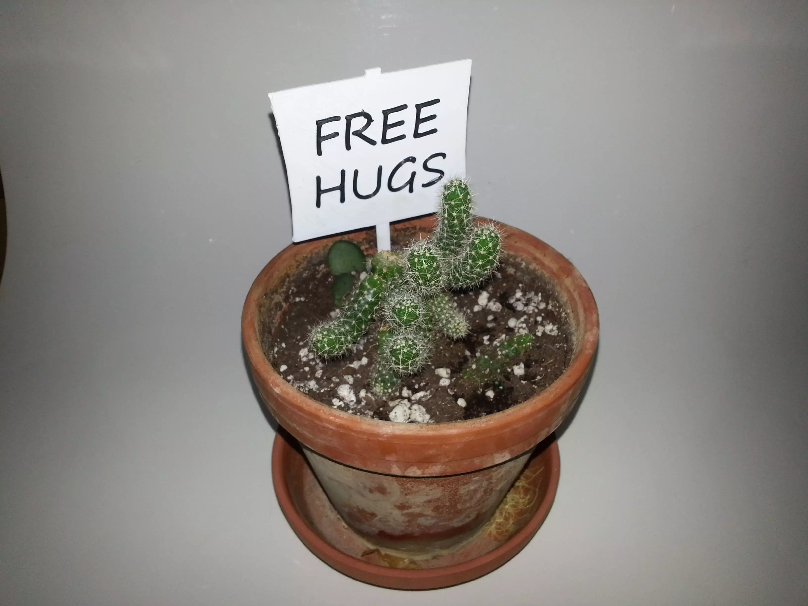 Cactus Houseplant Sign Free 3D print model