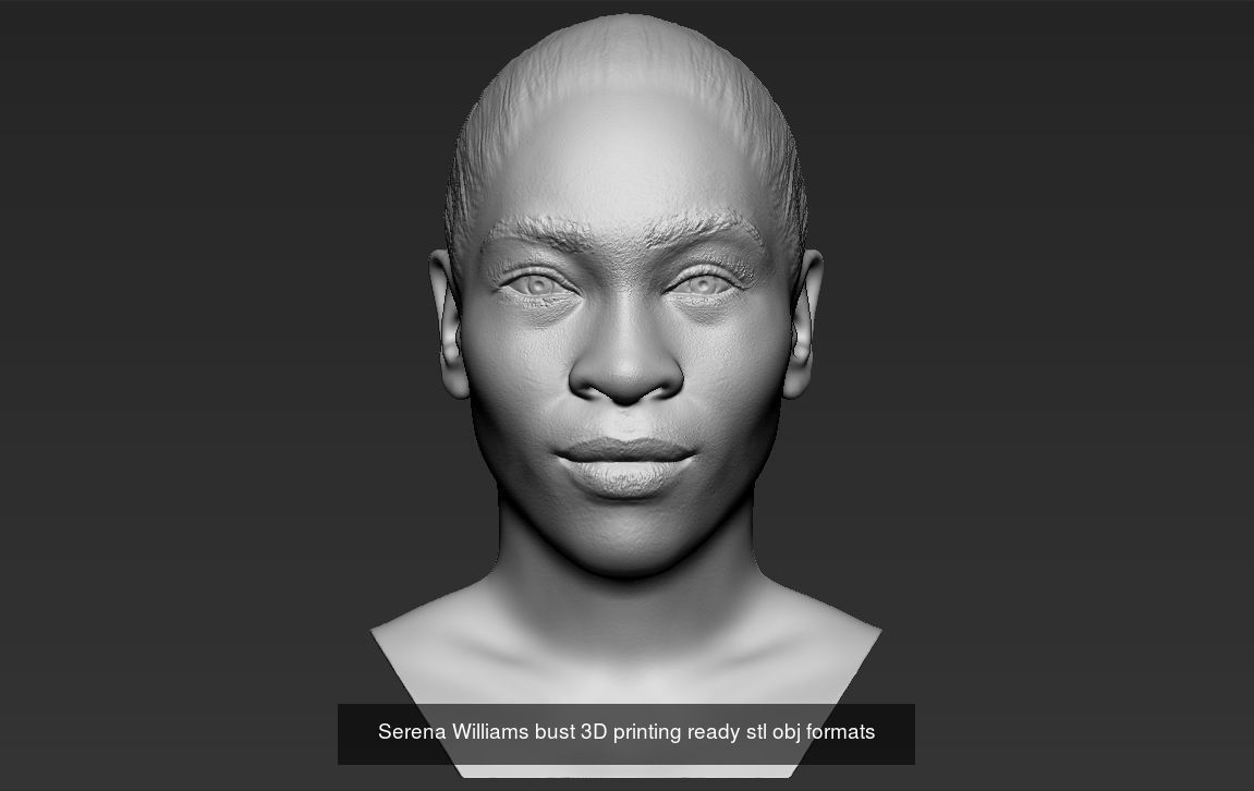 Famous Tennis players Nadal Federer Djokovic Serena Williams 3D Model Collection_4