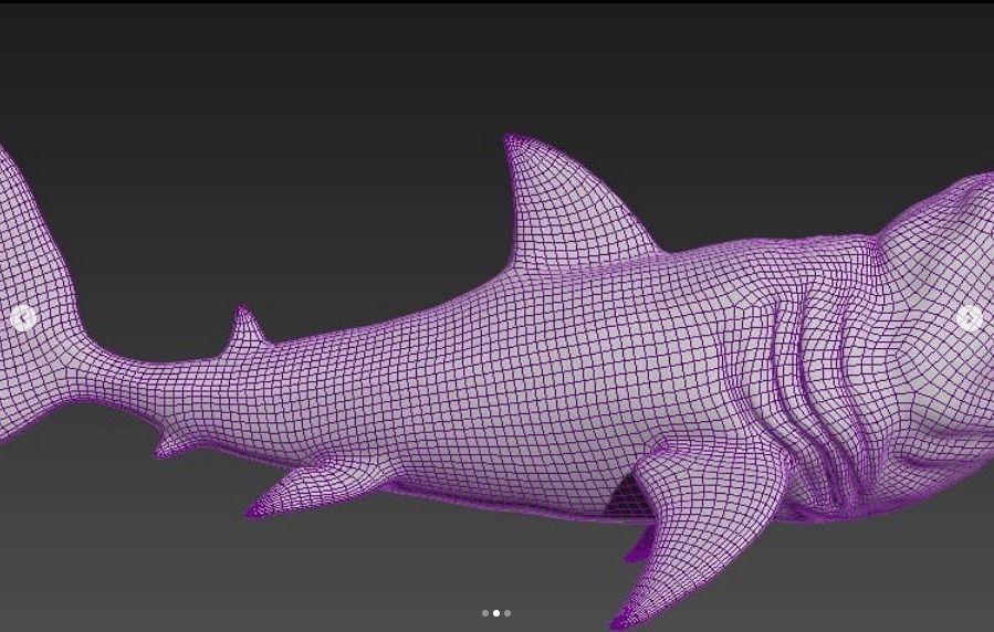 Great White Shark in High Poly 3D print model_2
