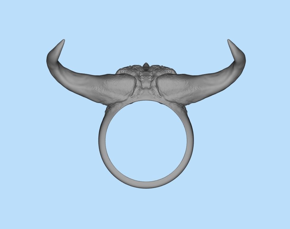 Demon Skull Ring STL 3D print model_20