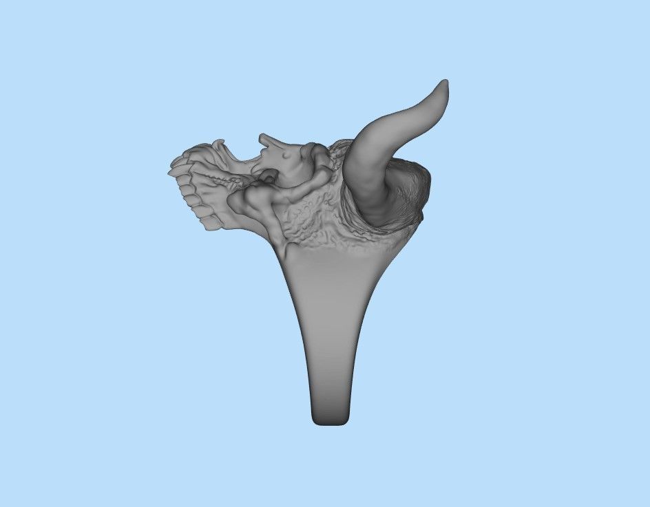 Demon Skull Ring STL 3D print model_21