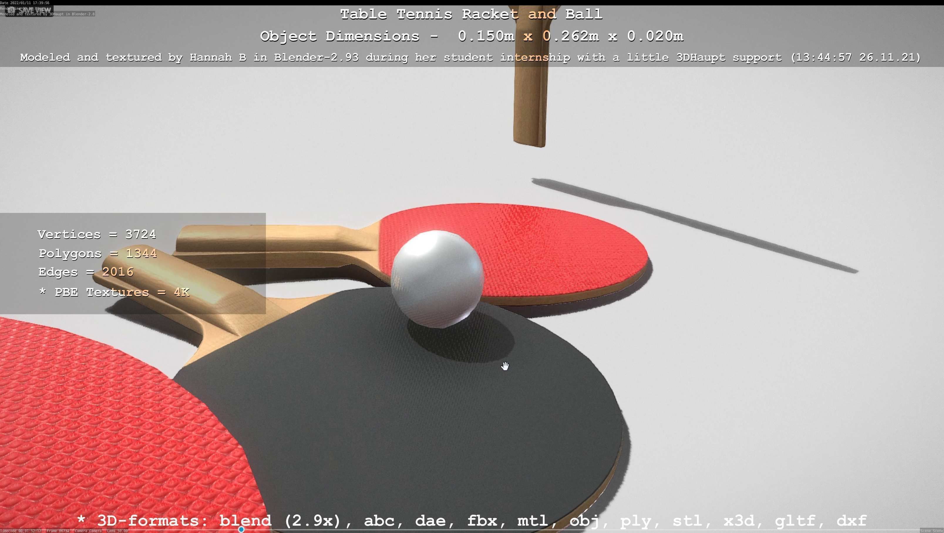 Table Tennis Racket and Ball Low-poly 3D model_74