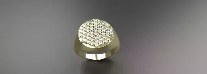 Diamond Signet Ring Gold Silver Platinum Luxury Jewelry