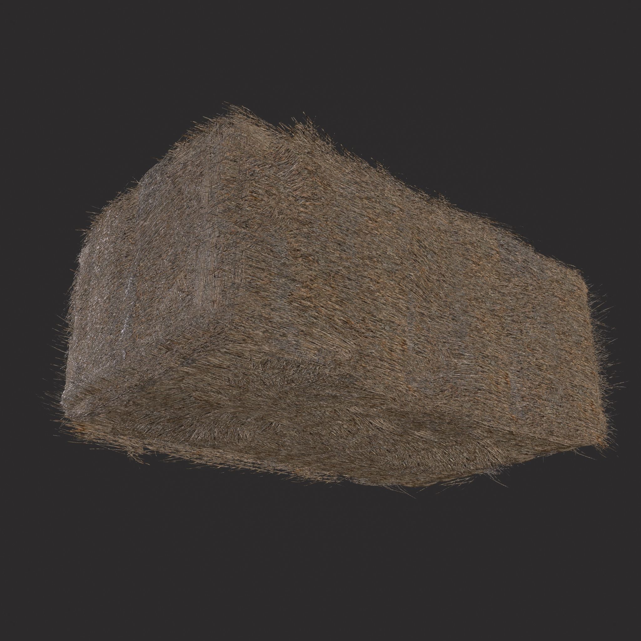 Hay Bales Low-poly 3D model_21