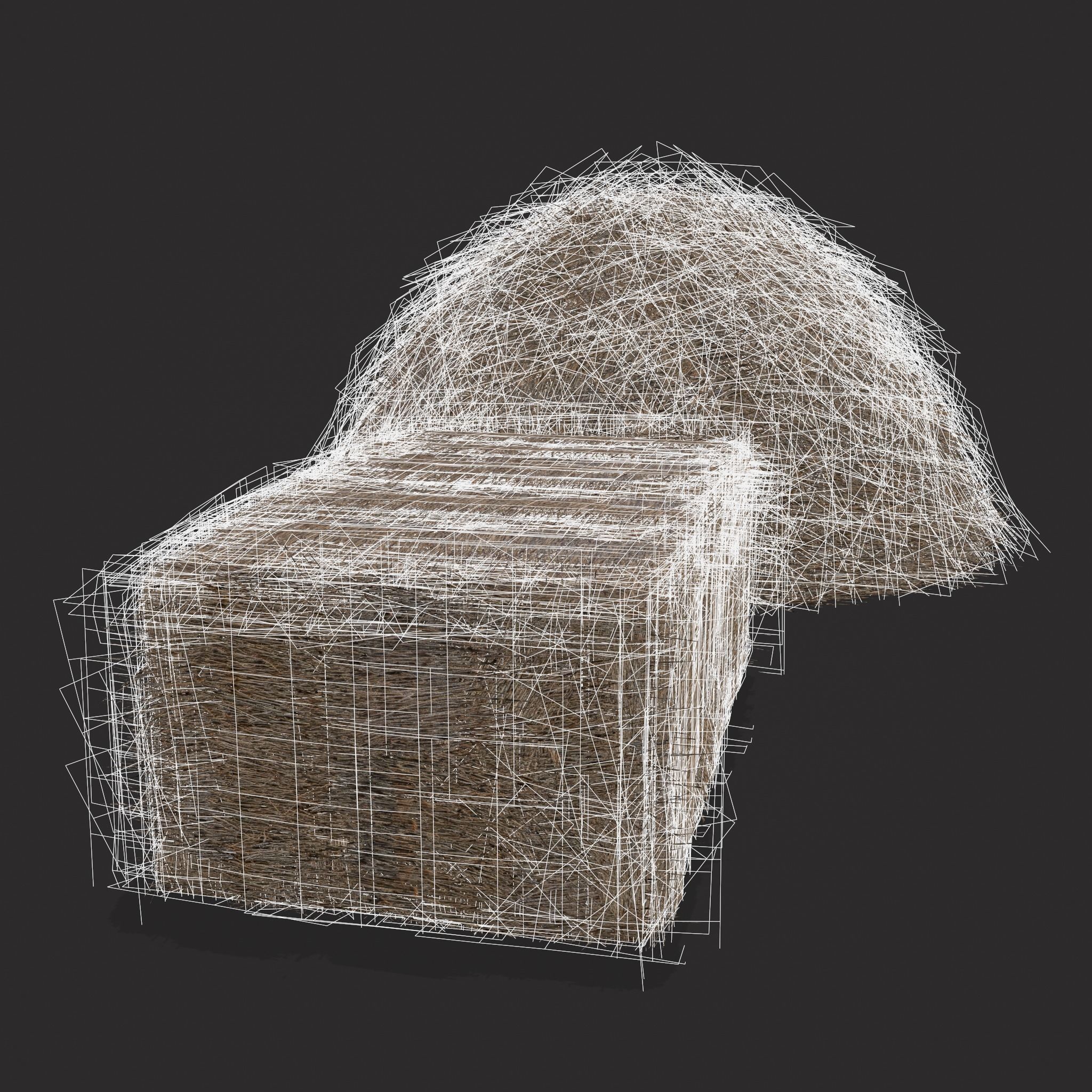 Hay Bales Low-poly 3D model_10
