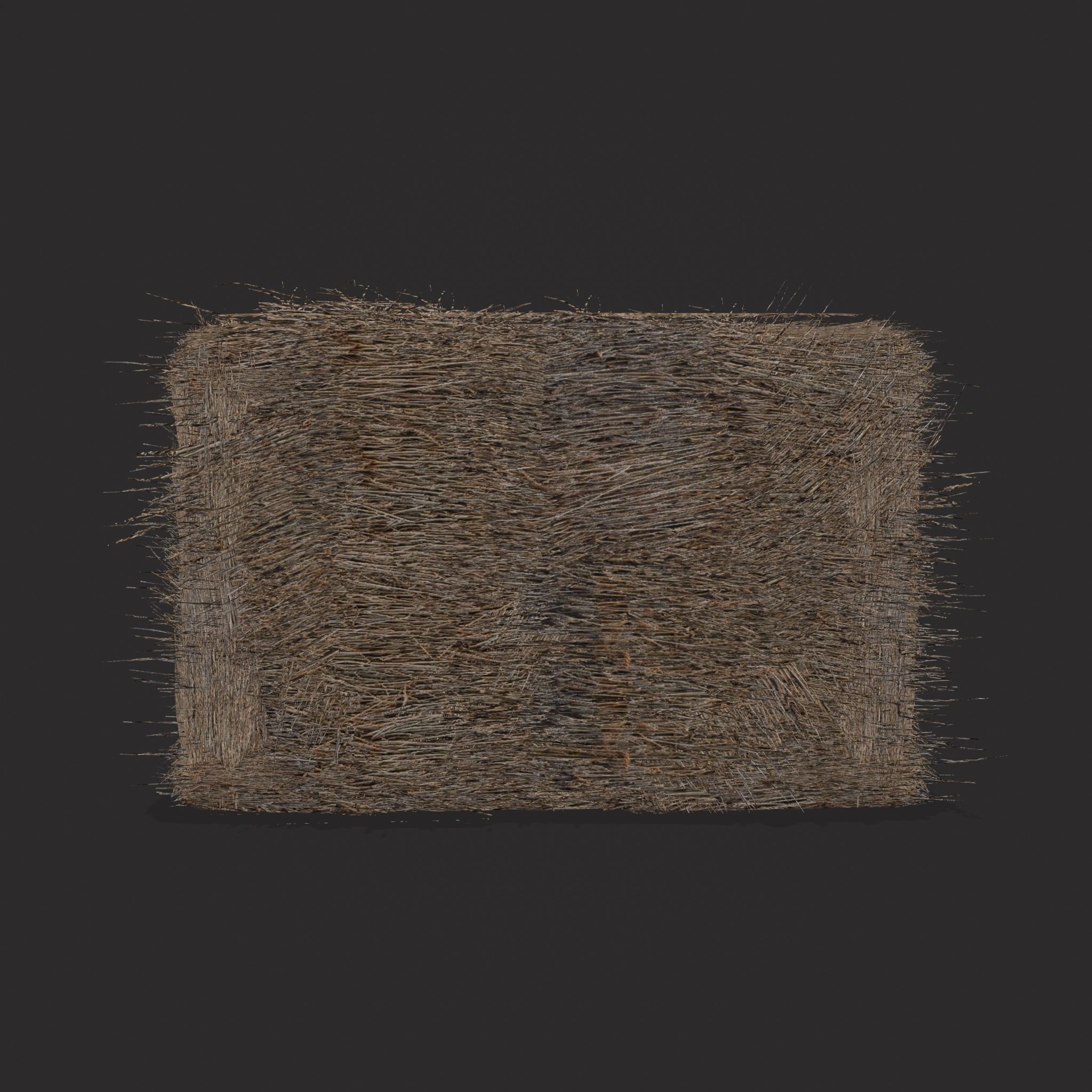 Hay Bales Low-poly 3D model_25