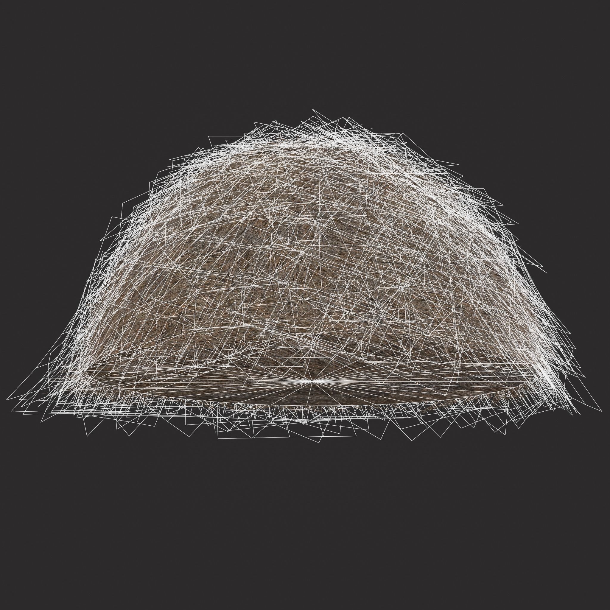 Hay Bales Low-poly 3D model_32