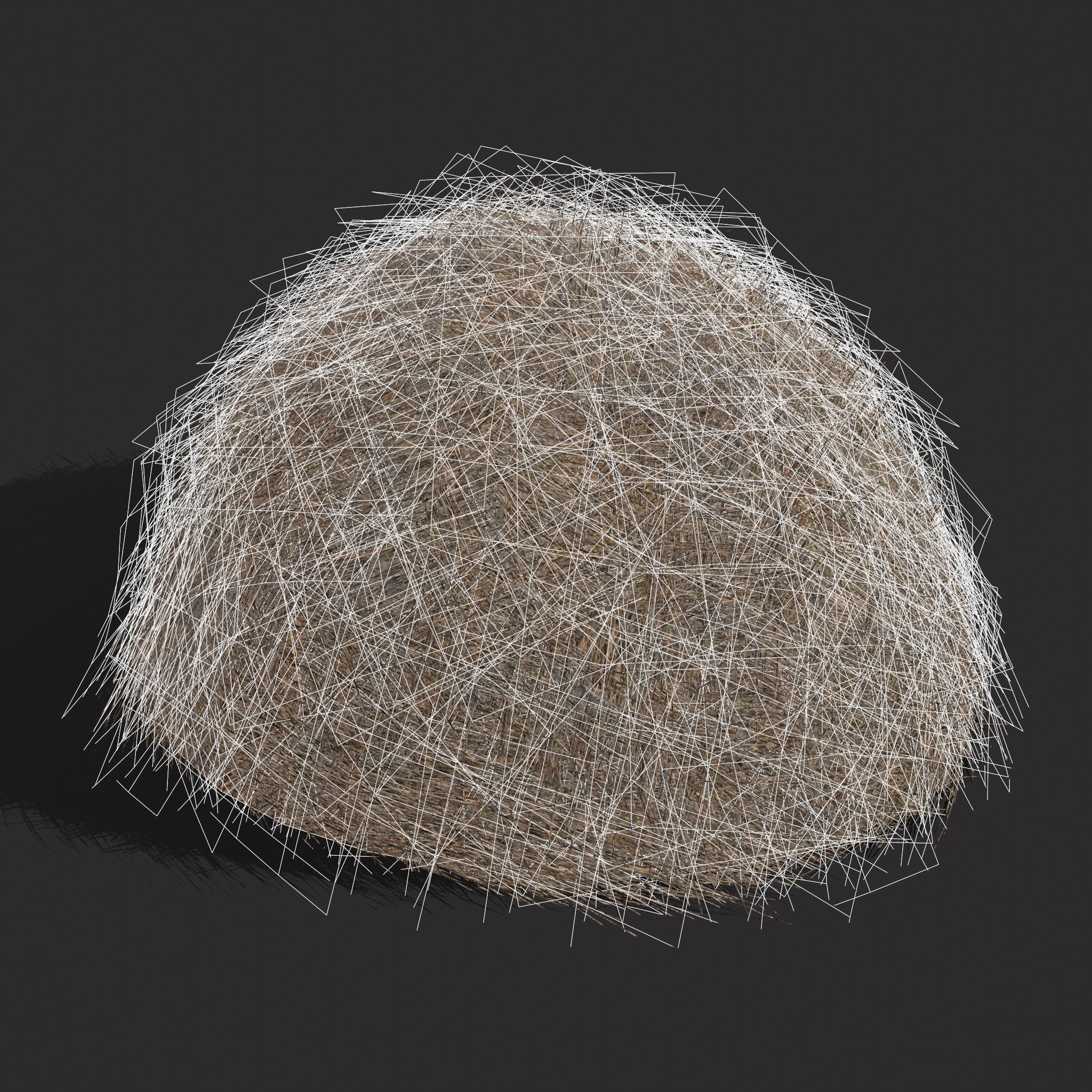 Hay Bales Low-poly 3D model_34