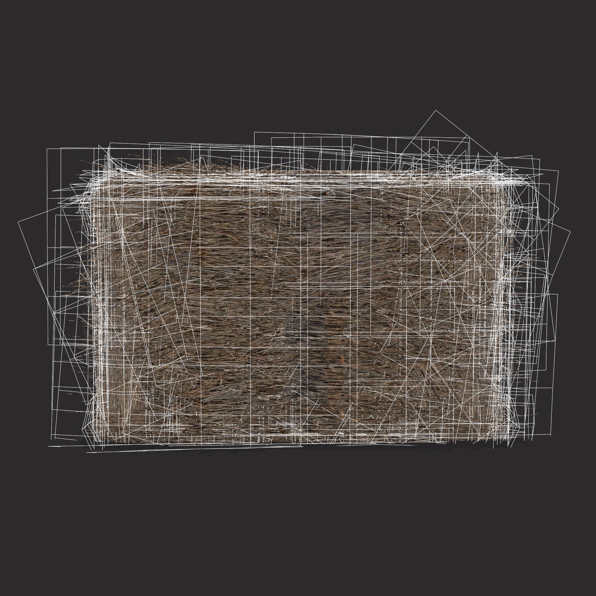 Hay Bales Low-poly 3D model_26