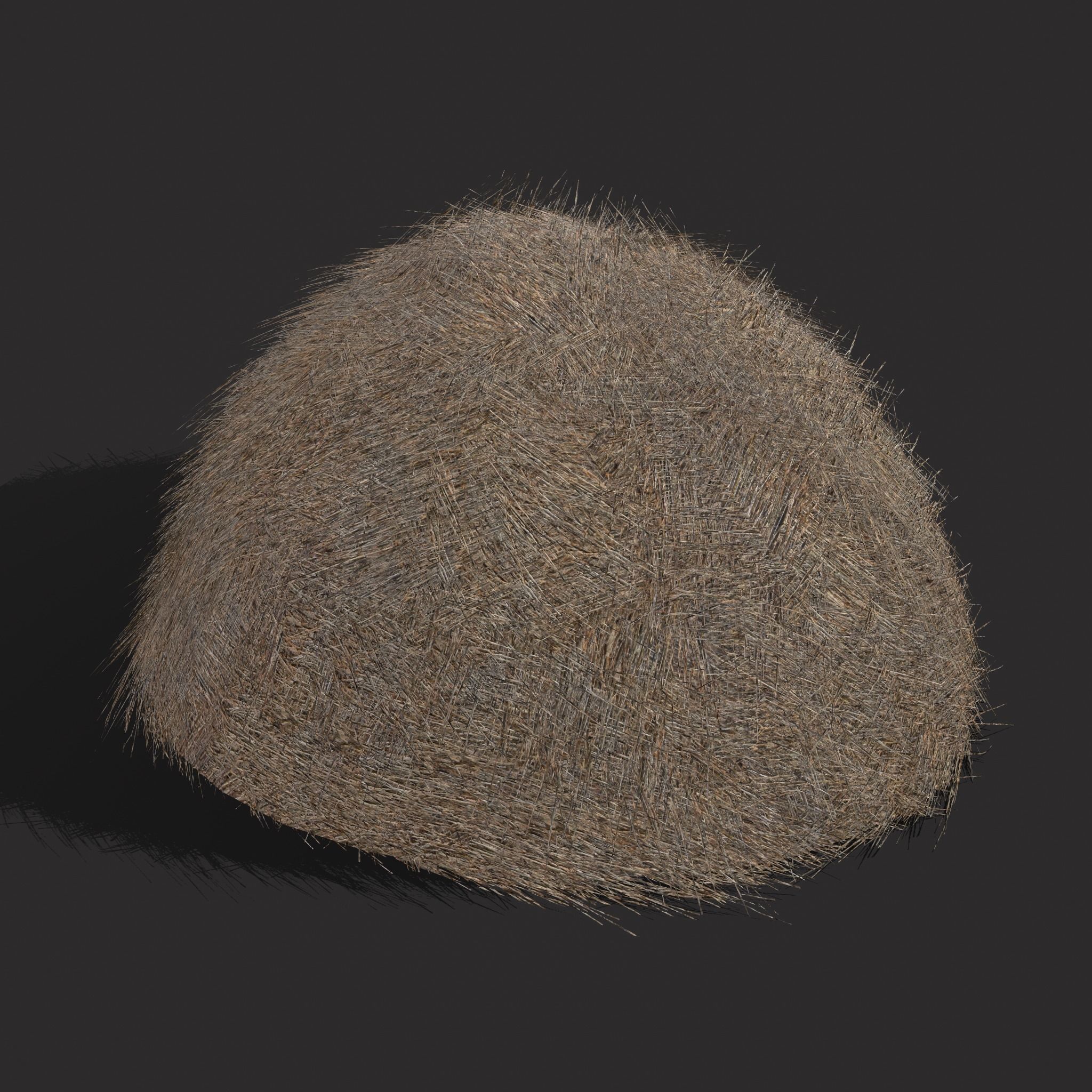 Hay Bales Low-poly 3D model_33
