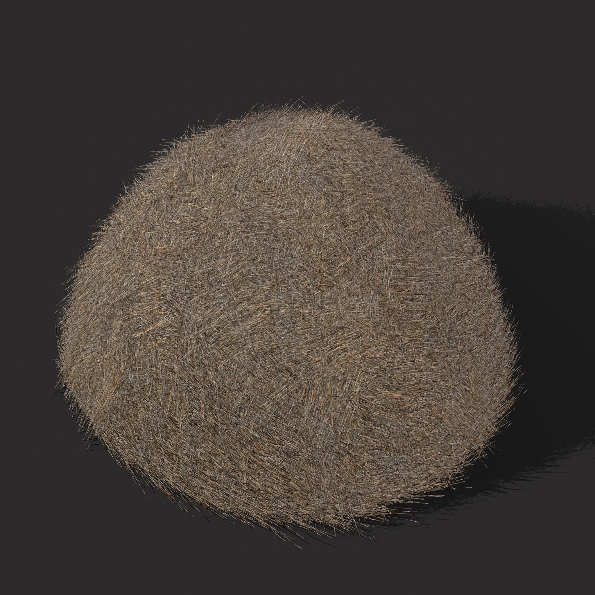Hay Bales Low-poly 3D model_35
