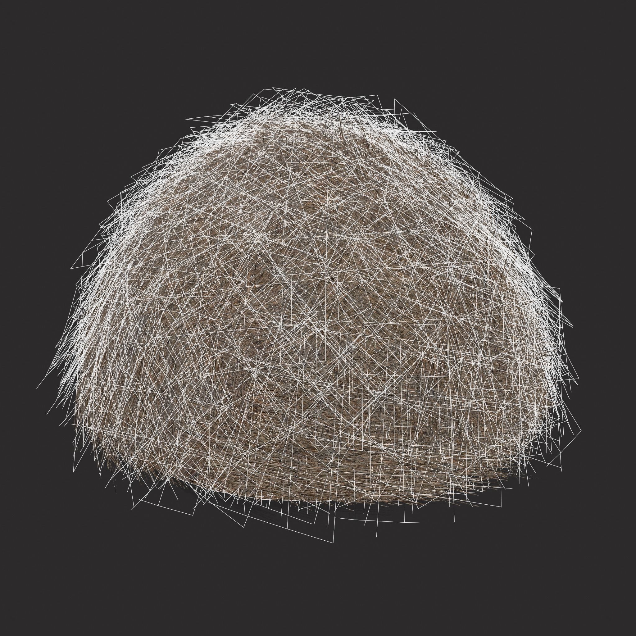 Hay Bales Low-poly 3D model_28