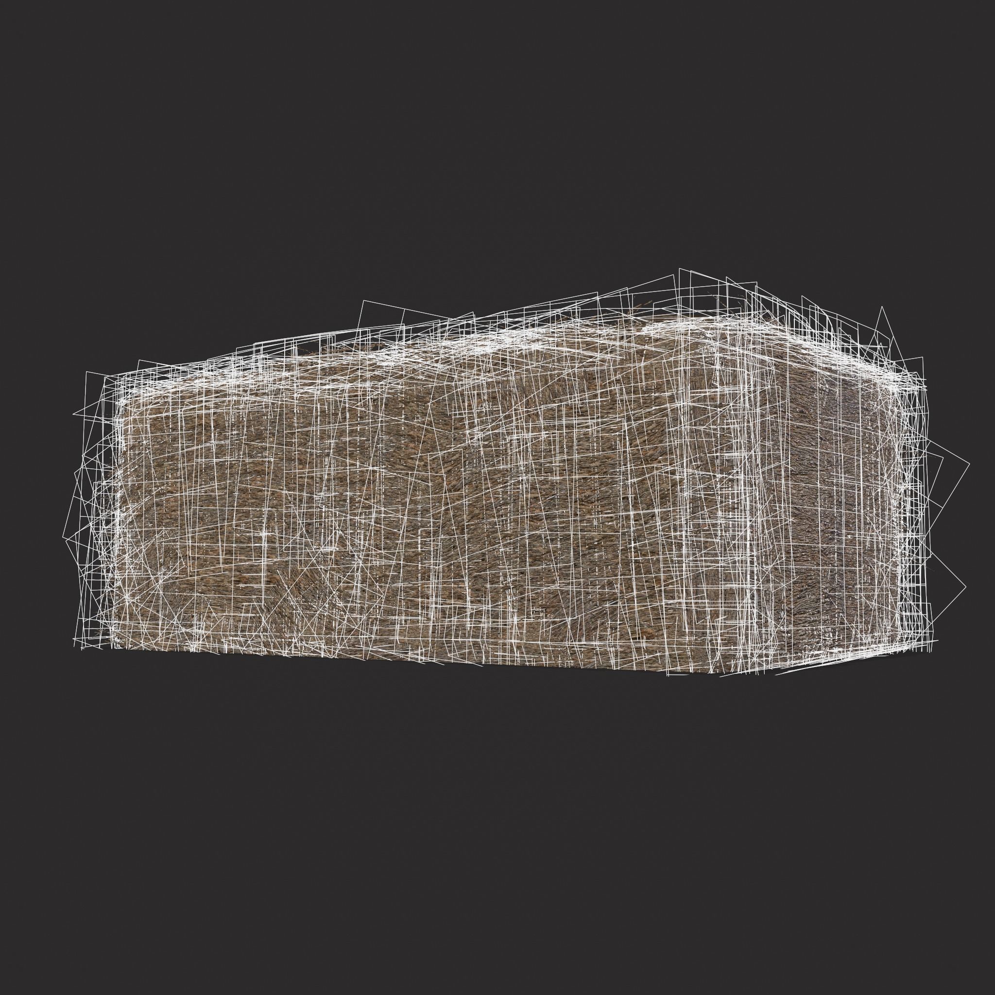 Hay Bales Low-poly 3D model_20