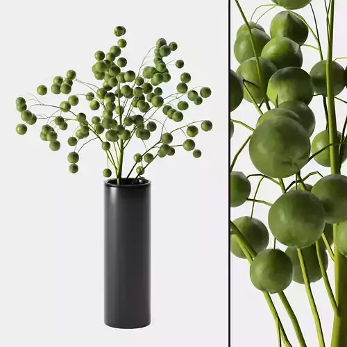 plant indoor 05 Low-poly 3D model