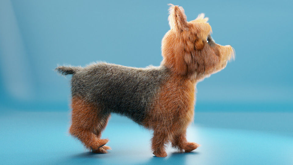 little dog rigged Low-poly 3D model_3