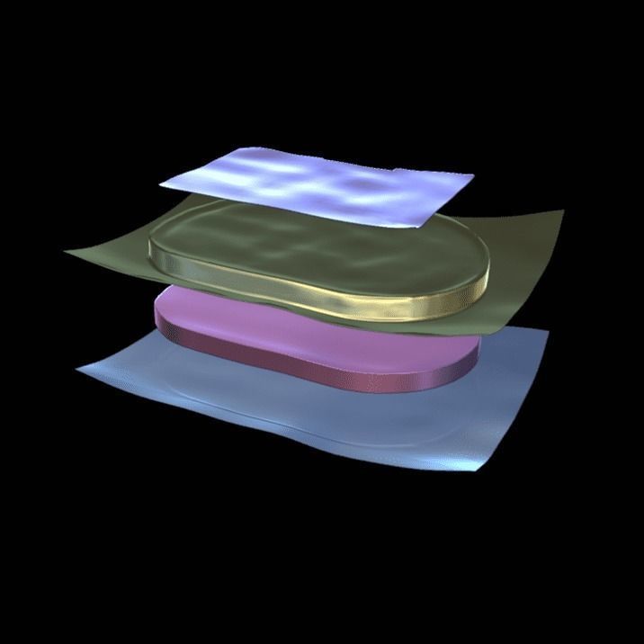 Ham Steak 3D model_7