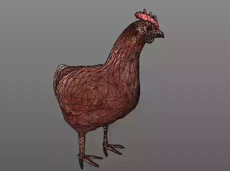 Hen with 4 animations