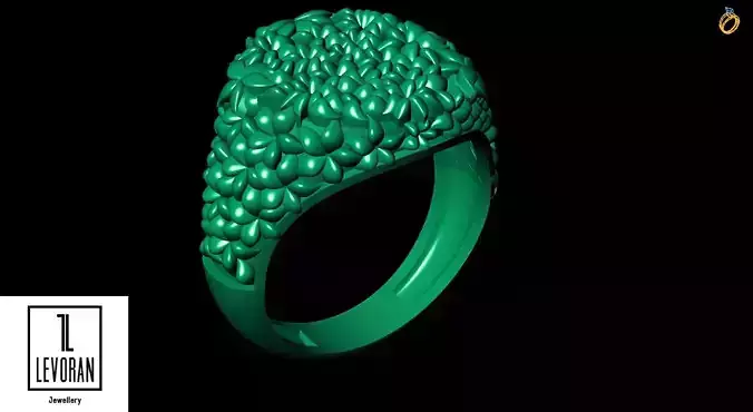 Engraved ring stl file 3D print model