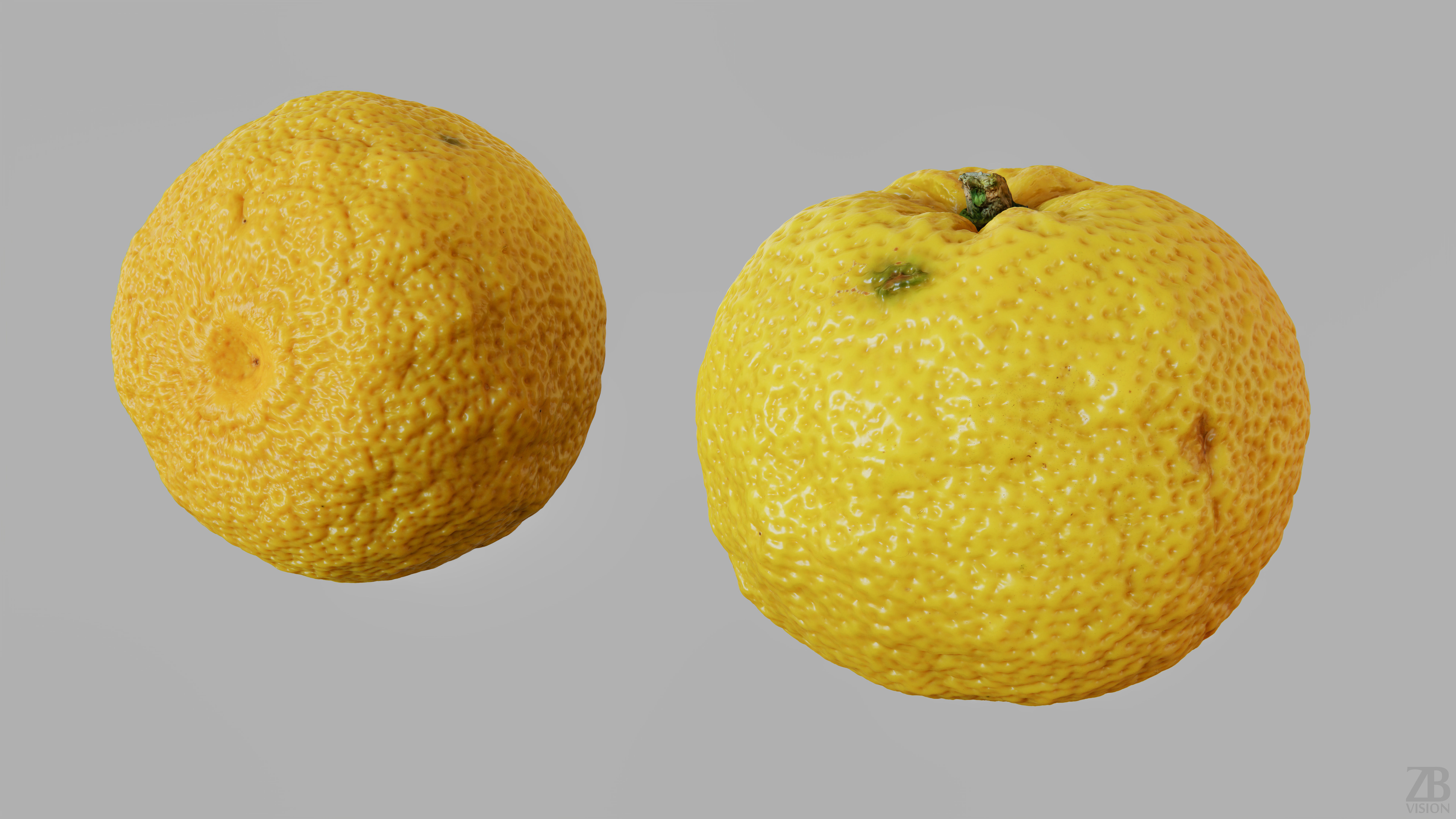 Yuzu  3D model_8