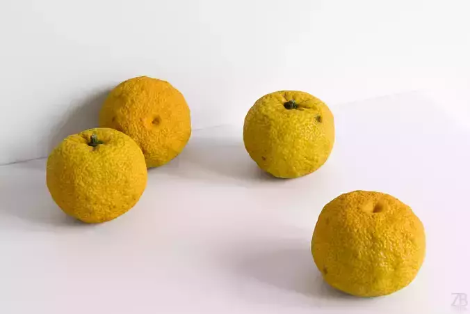 Yuzu  3D model