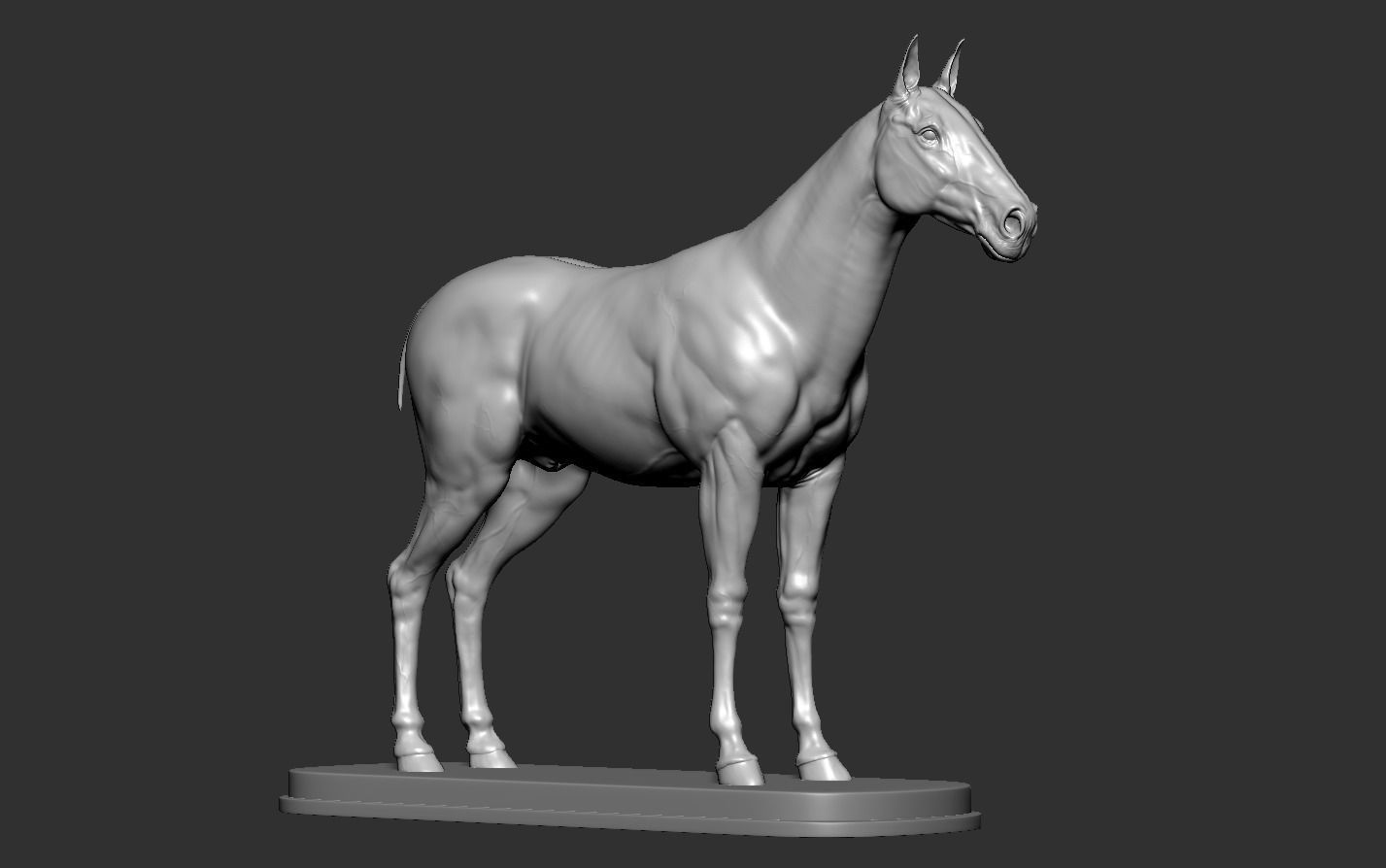 Horse 3D print model_12