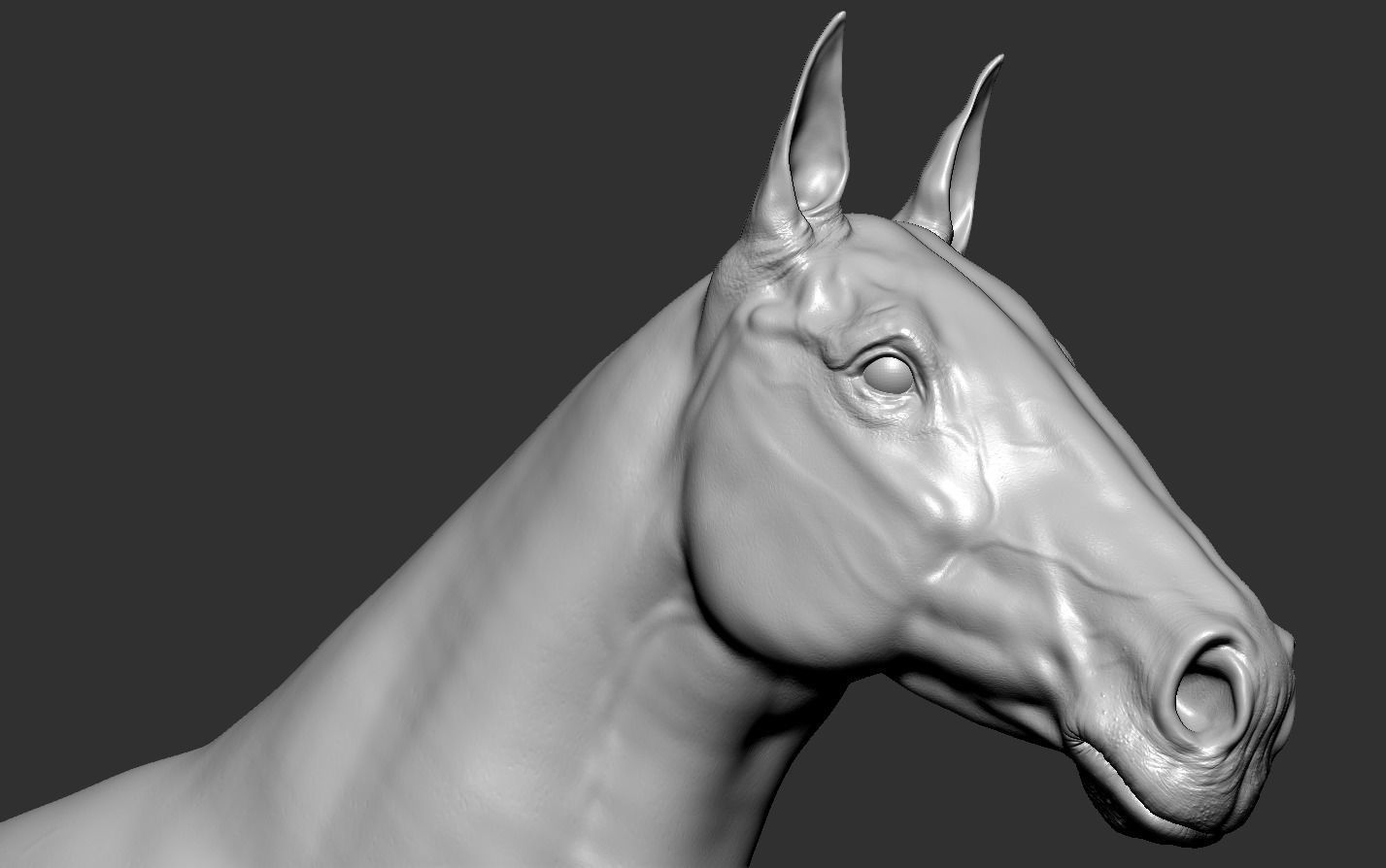 Horse 3D print model_18