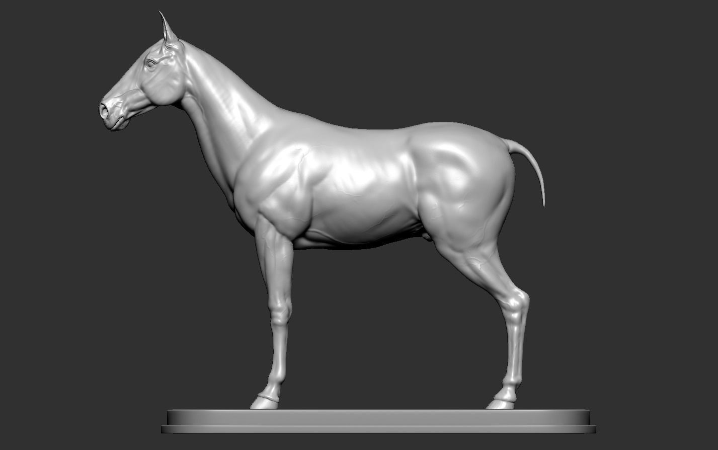 Horse 3D print model_10