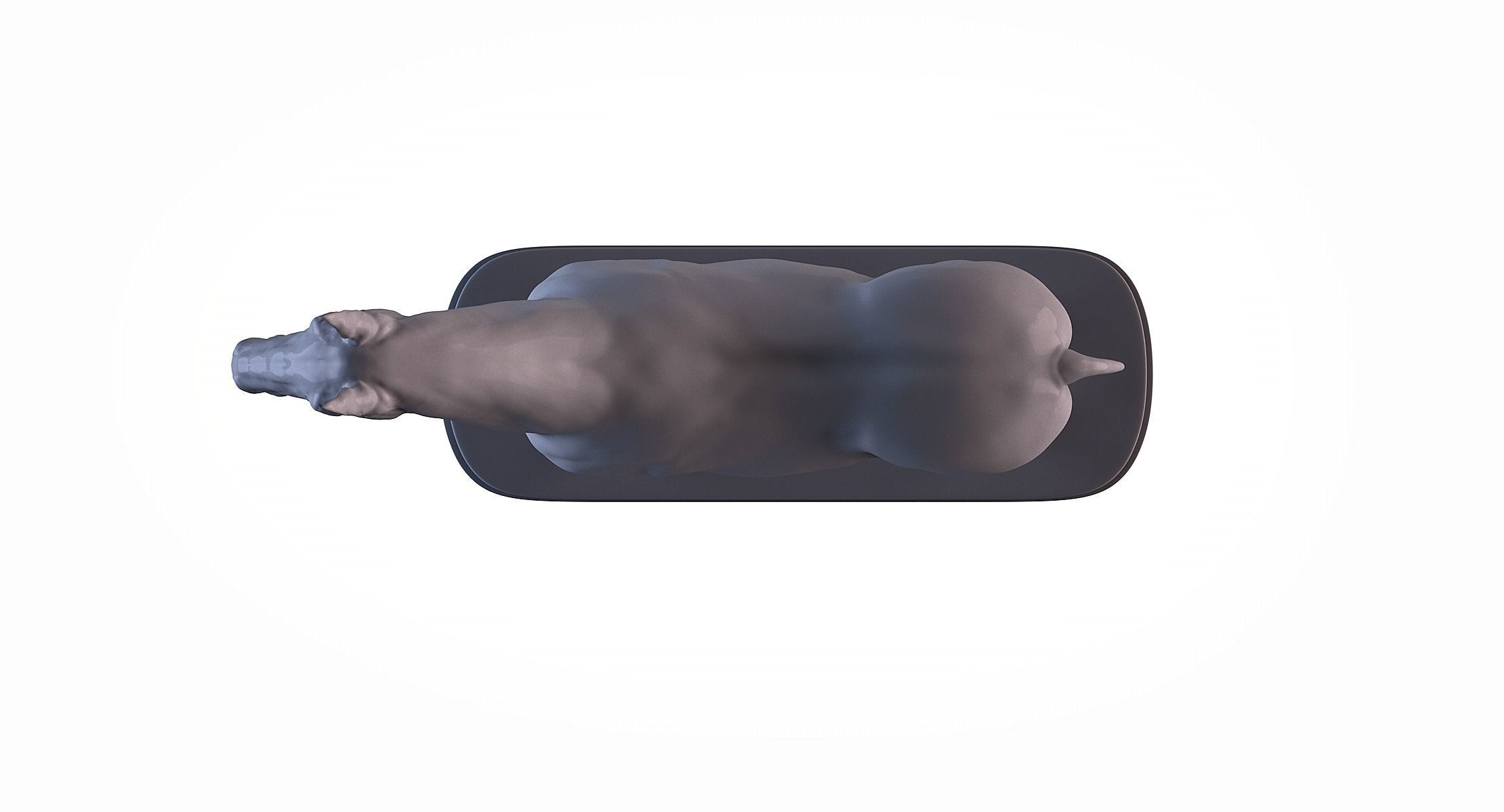 Horse 3D print model_9