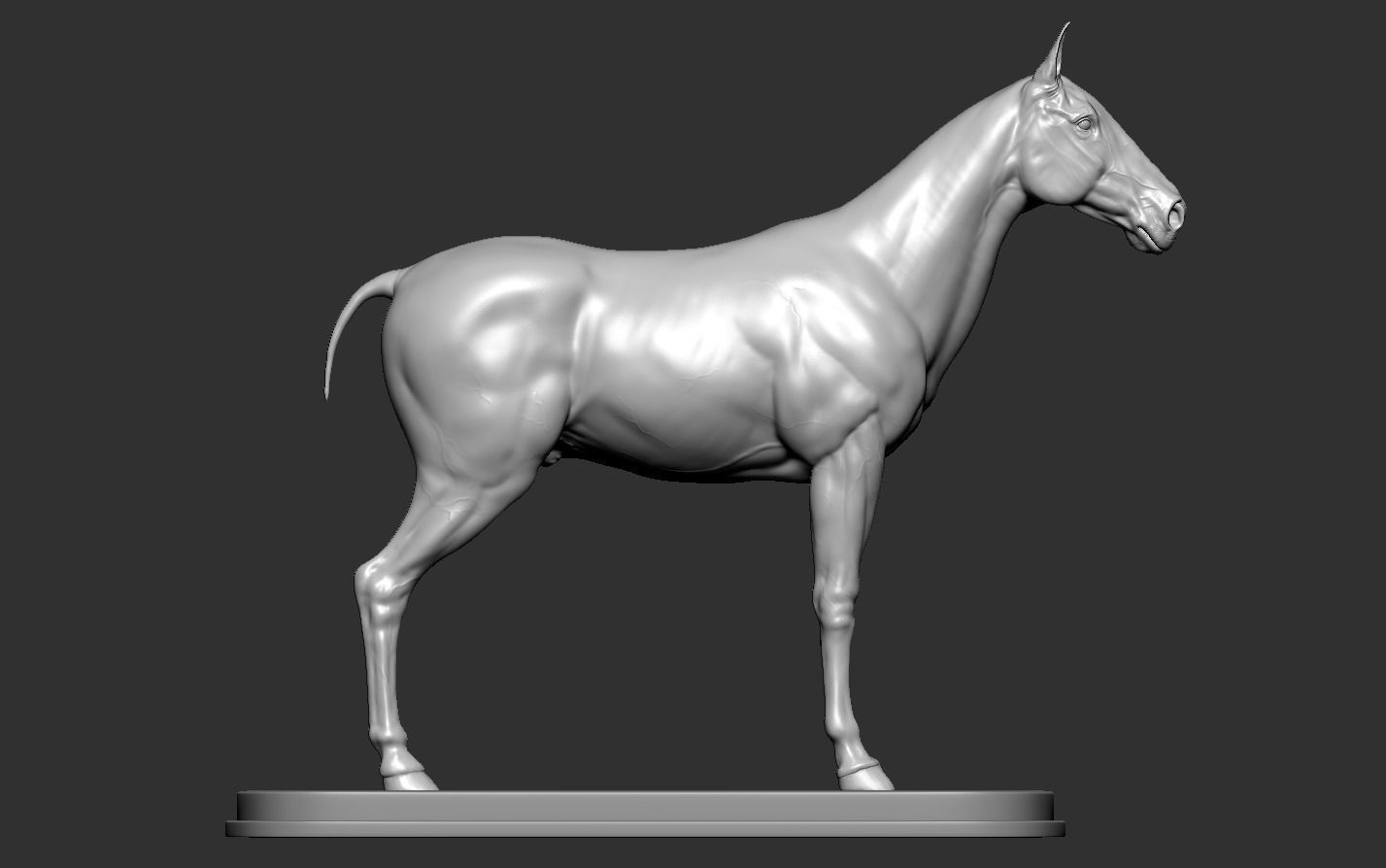 Horse 3D print model_11