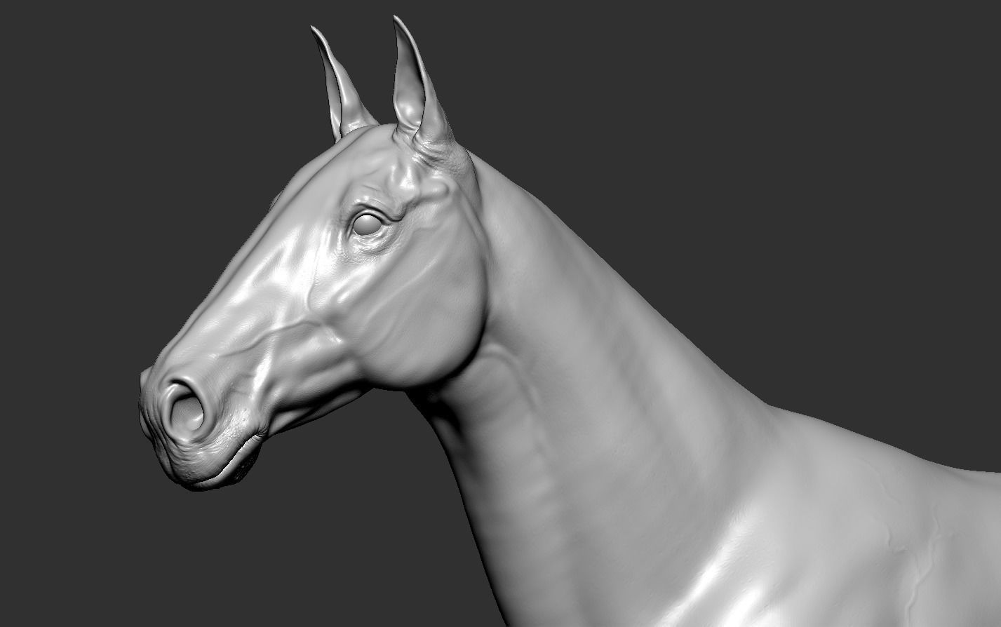Horse 3D print model_17
