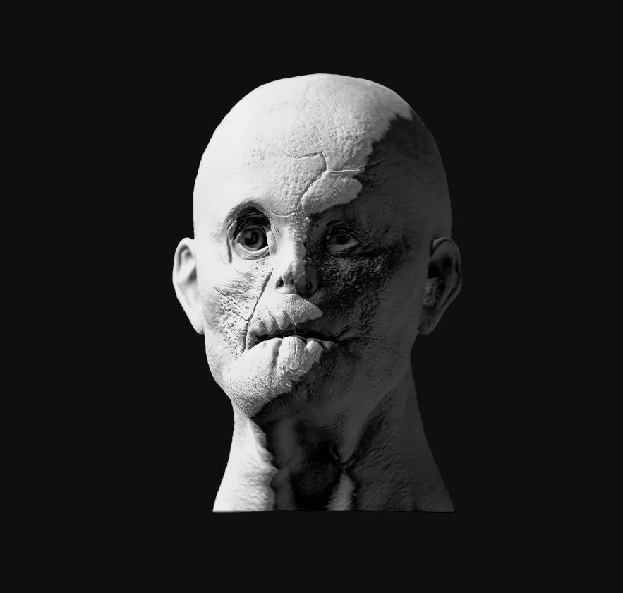 MASON VERGER HANNIBAL custom head  3D print model_0