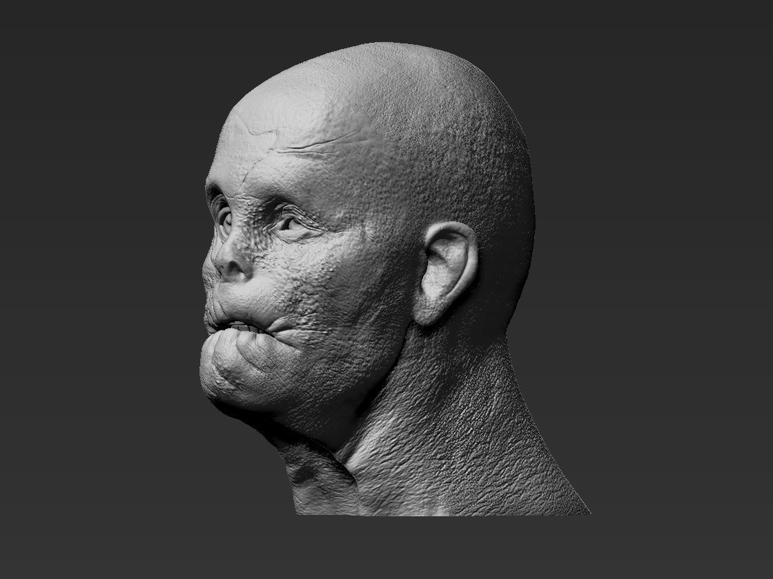 MASON VERGER HANNIBAL custom head  3D print model_3