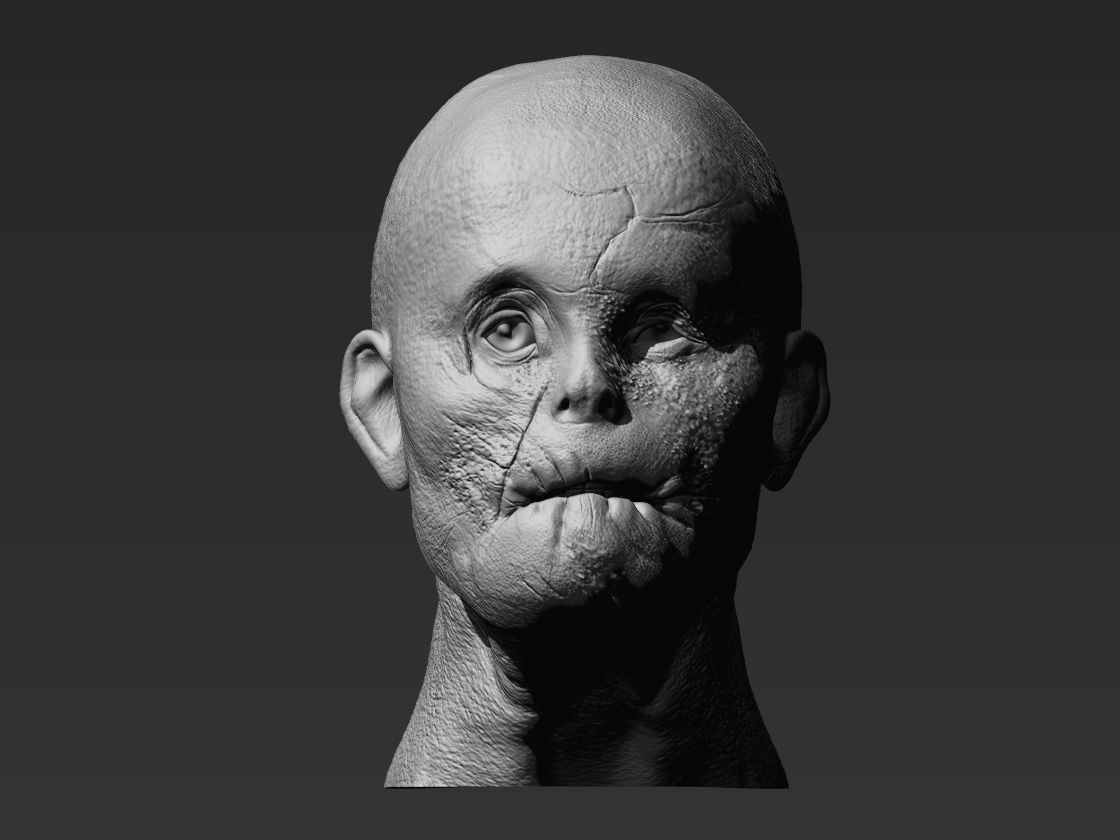 MASON VERGER HANNIBAL custom head  3D print model_1