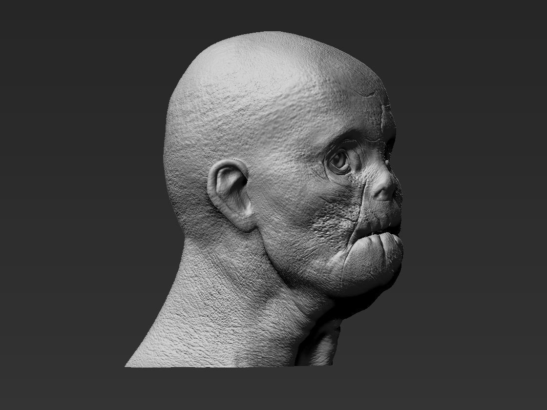 MASON VERGER HANNIBAL custom head  3D print model_2