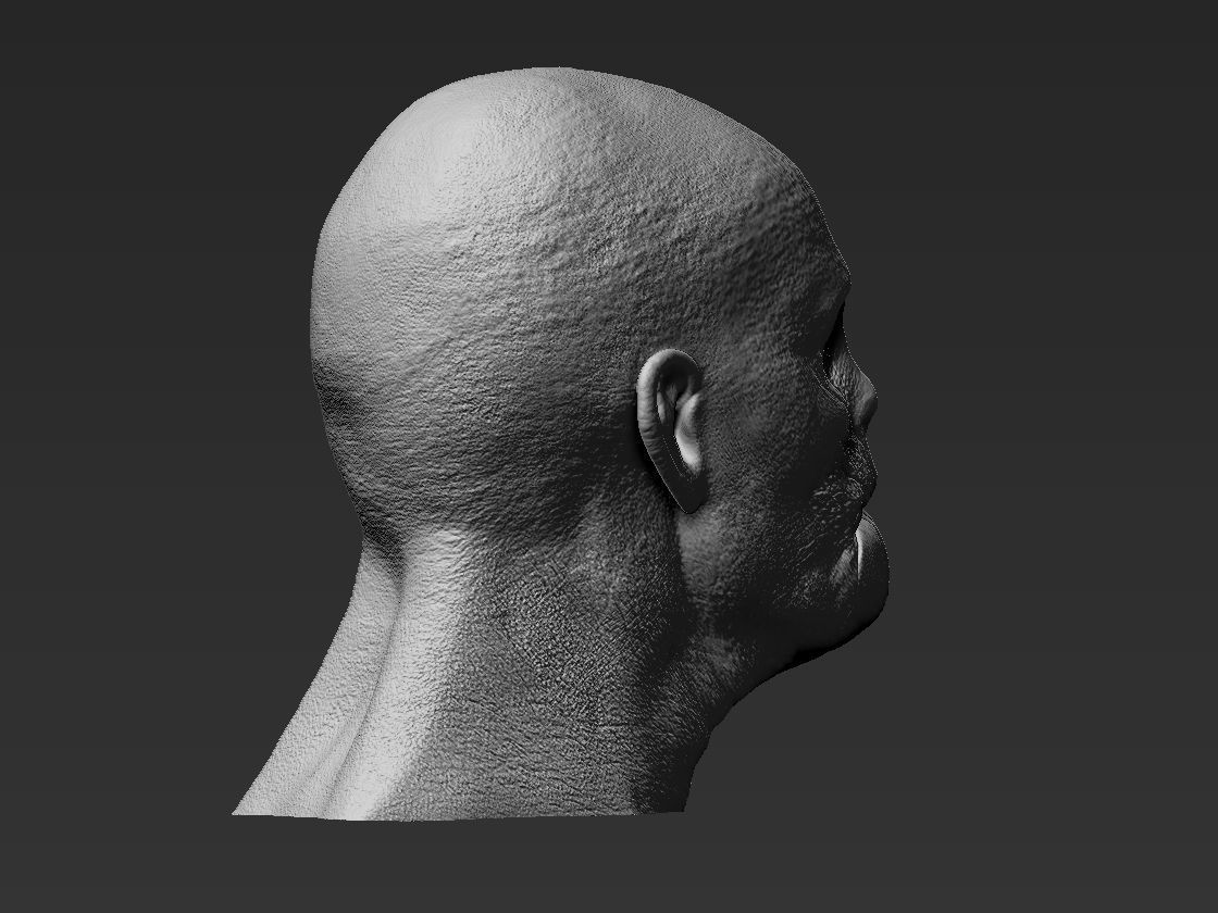 MASON VERGER HANNIBAL custom head  3D print model_4