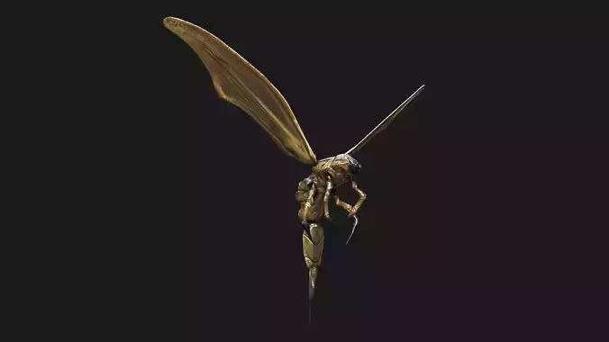 Small Angry Wasp Low-poly 3D model